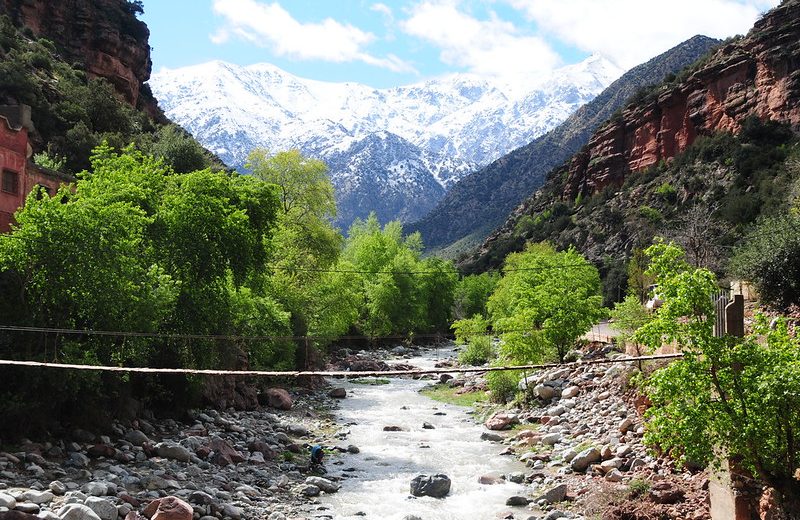 Excursion from Marrakech to Ourika Valley